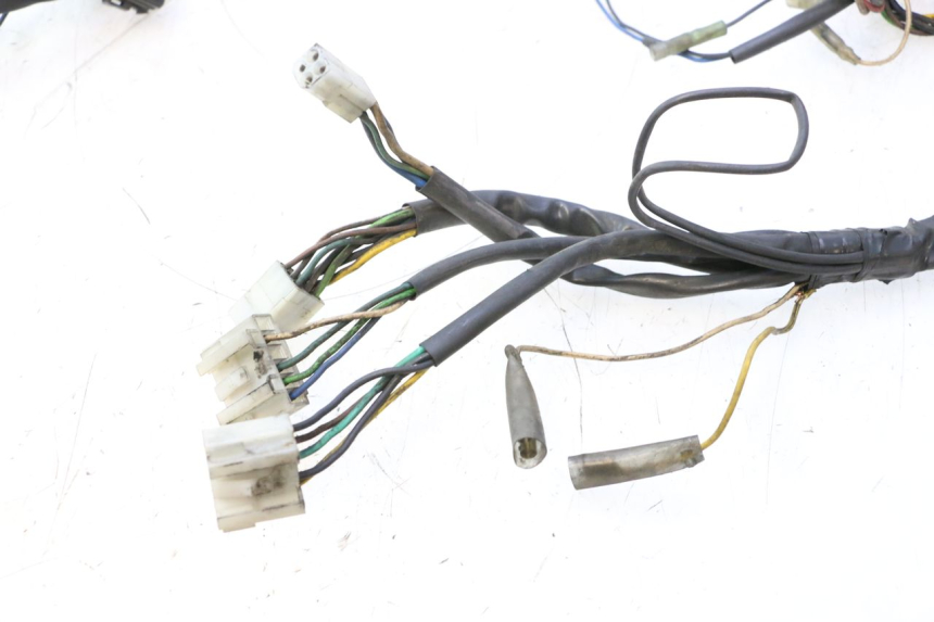 photo de WIRING HARNESS YAMAHA YP MAJESTY 125 (1998 - 2001) - Product overview