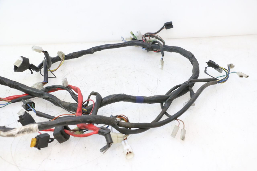 photo de WIRING HARNESS YAMAHA YP MAJESTY 125 (2007 - 2010) - Component detail