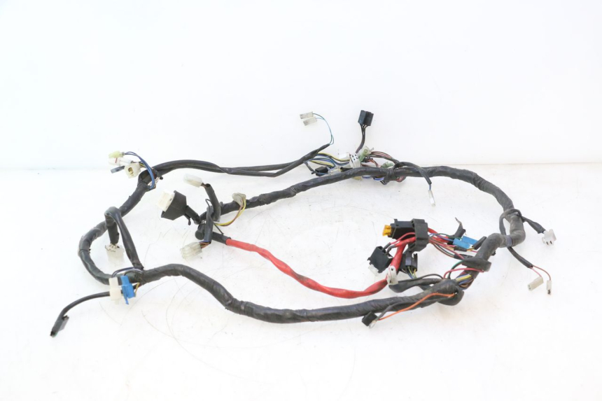 photo de WIRING HARNESS YAMAHA YP MAJESTY 125 (2007 - 2010) - Distinctive features