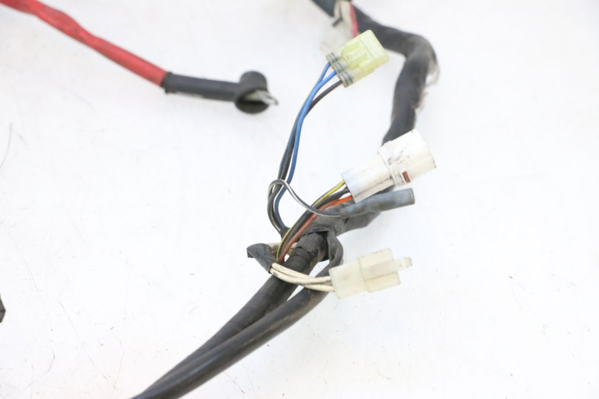 photo de WIRING HARNESS YAMAHA YP MAJESTY 125 (2007 - 2010) - Supplementary product photo