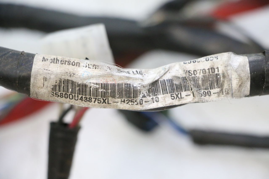 photo de WIRING HARNESS YAMAHA YP MAJESTY 125 (2007 - 2010) - Alternative perspective