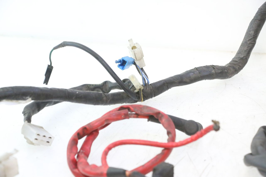 photo de WIRING HARNESS YAMAHA YP MAJESTY 125 (2007 - 2010) - Checked used part