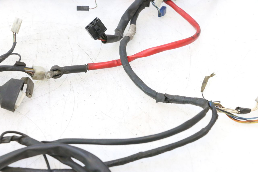 photo de WIRING HARNESS YAMAHA YP MAJESTY 125 (2002 - 2006) - Supplementary product photo