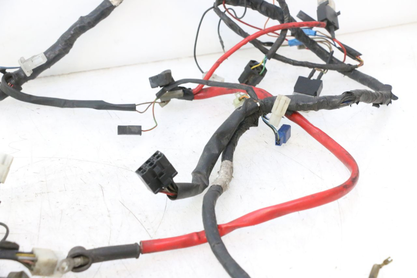photo de WIRING HARNESS YAMAHA YP MAJESTY 125 (2002 - 2006) - Detailed visual inspection