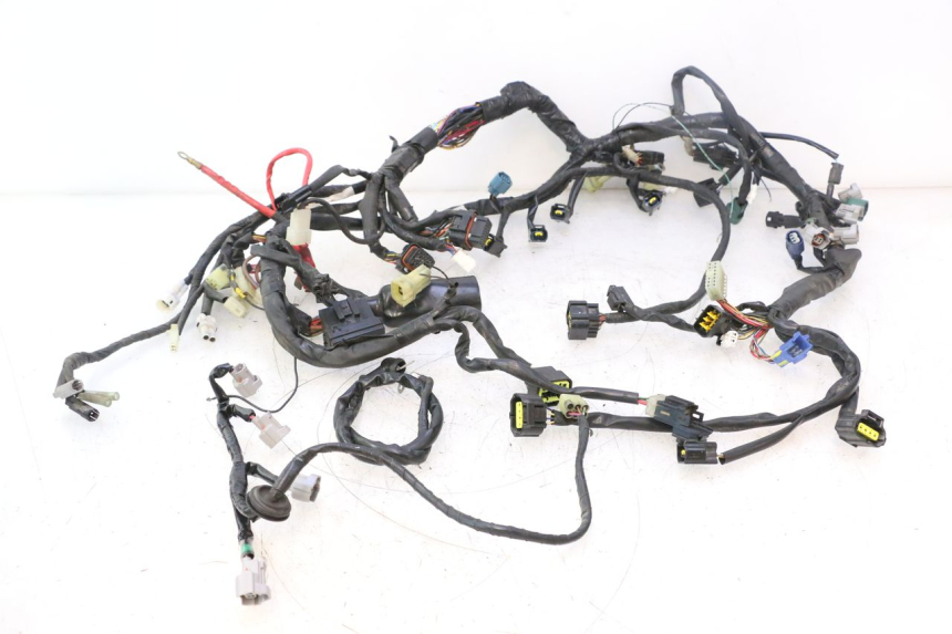 photo de WIRE HARNESS YAMAHA YZF R6 600 (2008 - 2009) - Main view