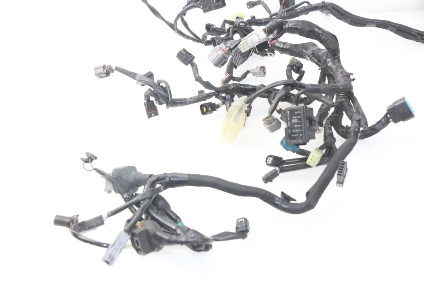 photo de WIRE HARNESS KAWASAKI Z Z900 900 (2017 - 2019) - Distinctive features
