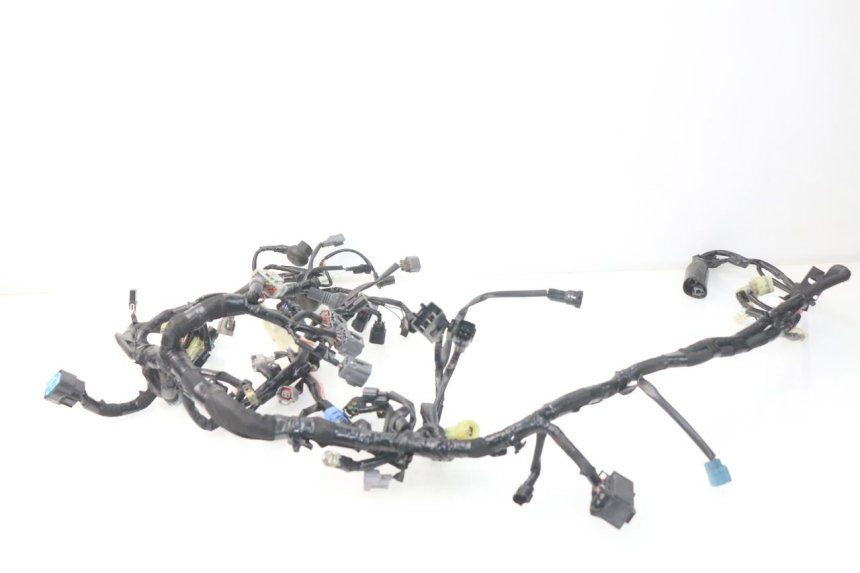 photo de WIRE HARNESS KAWASAKI Z Z900 900 (2017 - 2019) - Detailed visual inspection