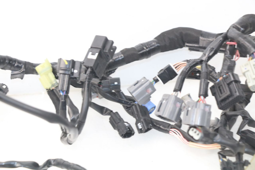 photo de WIRE HARNESS KAWASAKI Z Z900 900 (2017 - 2019) - Zoom on usage condition