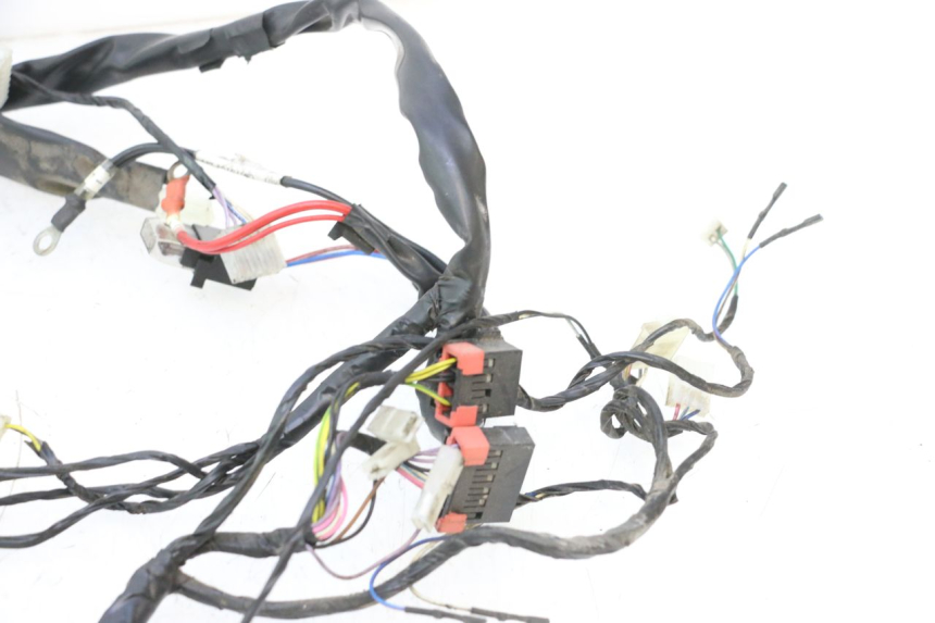 photo de WIRING HARNESS PIAGGIO ZIP 2T 50 (2009 - 2019) - Distinctive features