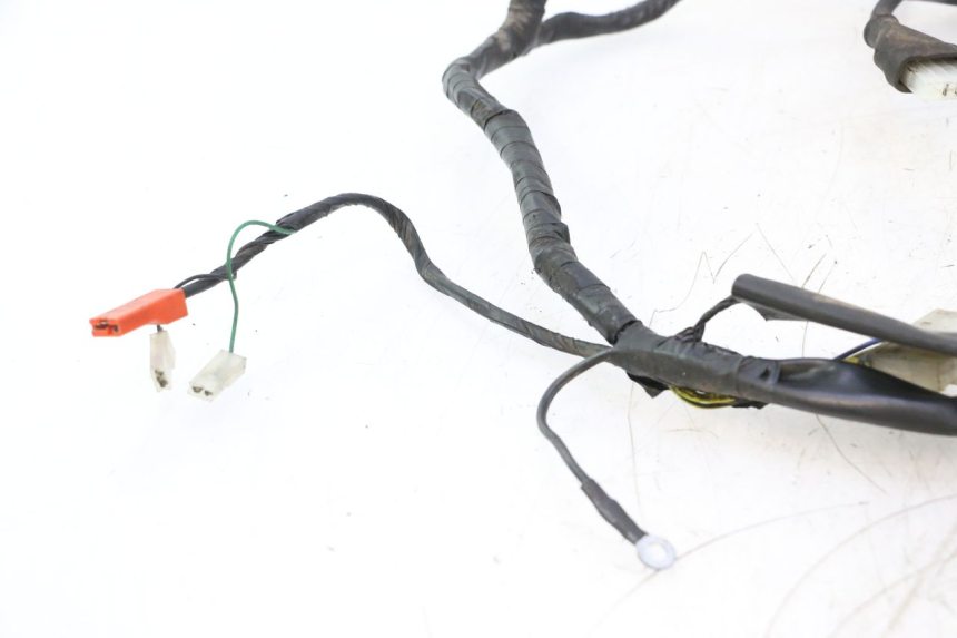 photo de WIRING HARNESS PIAGGIO ZIP 2T 50 (2009 - 2019) - Fixing points details