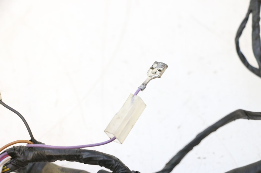 photo de WIRING HARNESS PIAGGIO ZIP 2T 50 (2009 - 2019) - Product overview