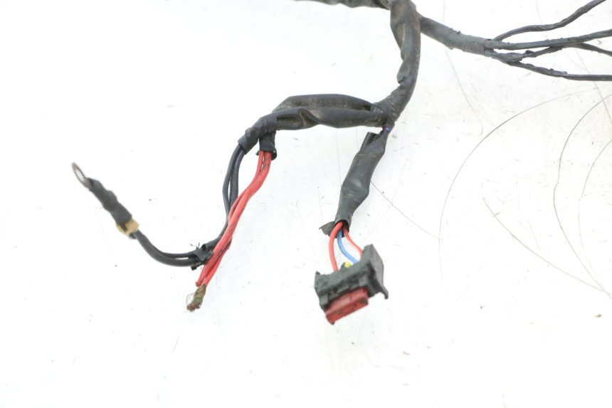 photo de WIRING HARNESS PIAGGIO ZIP 2T 50 (2009 - 2019) - Alternative perspective
