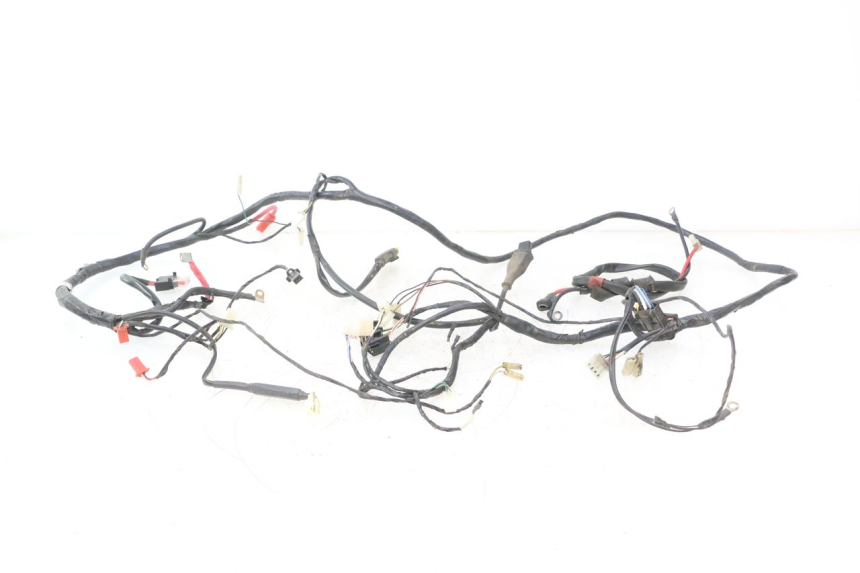 photo de WIRE HARNESS PIAGGIO ZIP 4T 50 (2006 - 2017) - Main view