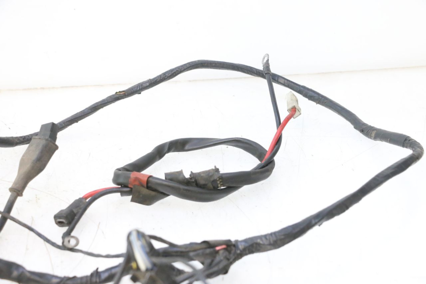 photo de WIRE HARNESS PIAGGIO ZIP 4T 50 (2006 - 2017) - Distinctive features