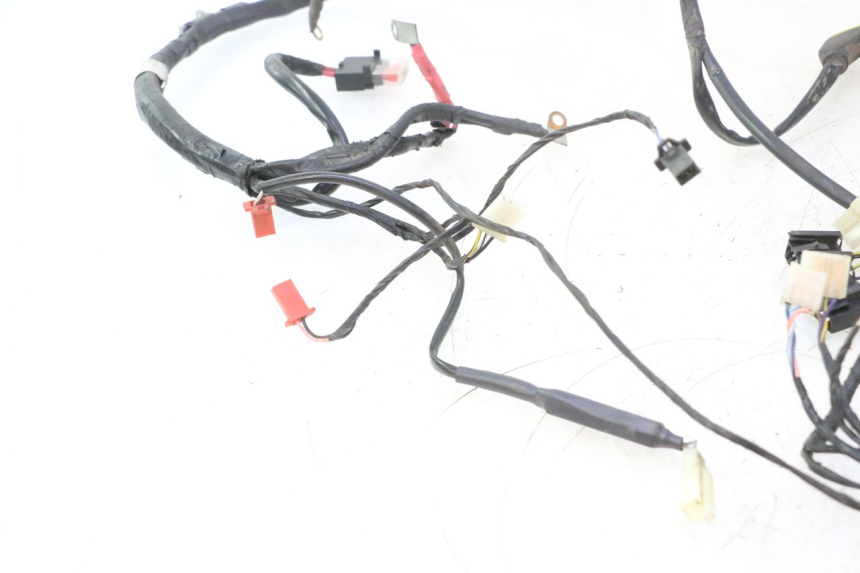 photo de WIRE HARNESS PIAGGIO ZIP 4T 50 (2006 - 2017) - Checked used part