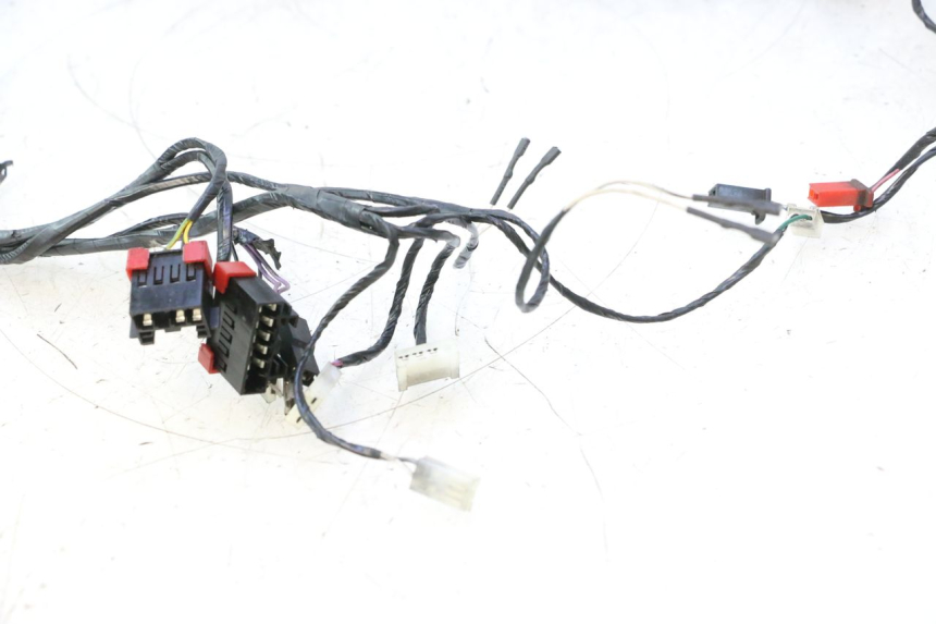 photo de WIRE HARNESS PIAGGIO ZIP IGET 4T 50 (2021 - 2023) - Focus on structure