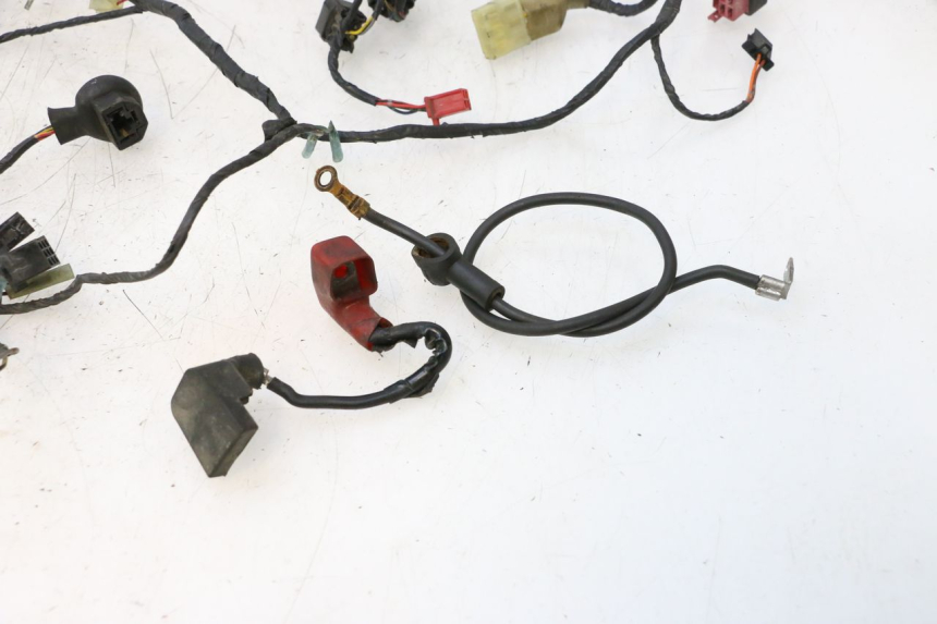 photo de WIRE HARNESS KAWASAKI ZX-6R ZX6R 600 (1995 - 1997) - High-resolution close-up