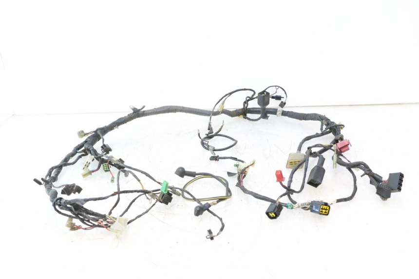 photo de WIRE HARNESS KAWASAKI ZZR 600 (1995 - 2004) - Checked used part