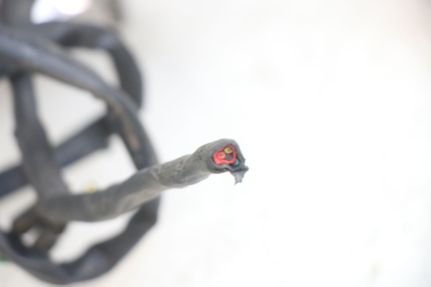 photo de REAR LIGHT HONDA CA REBEL 125 (1995 - 2001) - Fixing points details