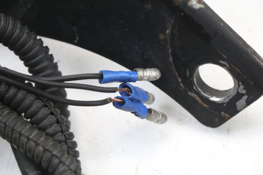 photo de TAIL LIGHT HARLEY DAVIDSON SPORTSTER XL CUSTOM 1200 (2003 - 2004) - Fixing points details