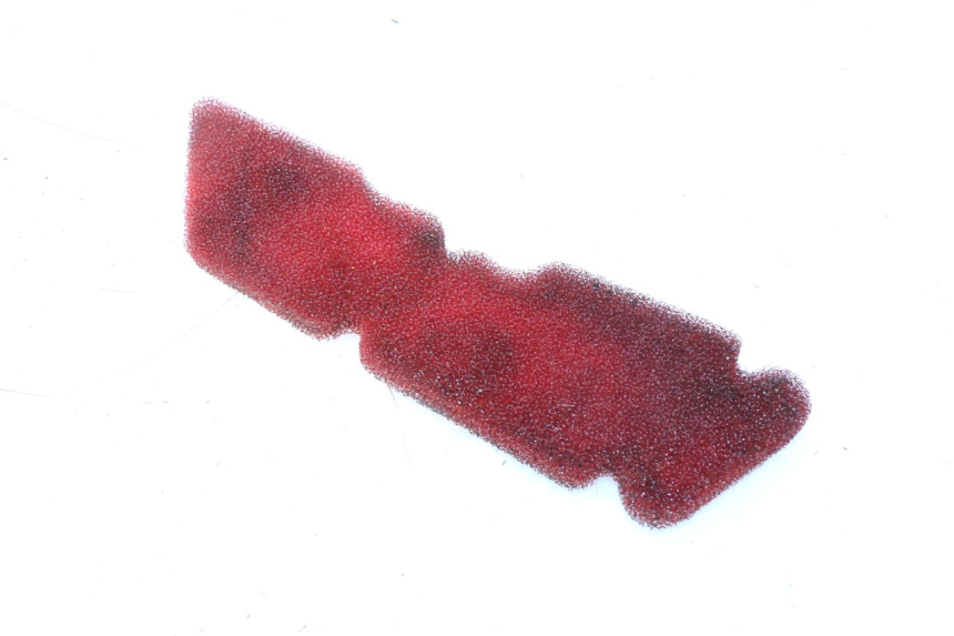 photo de AIR FILTER PIAGGIO ZIP 2T 50 (2009 - 2019) - Zoom on usage condition