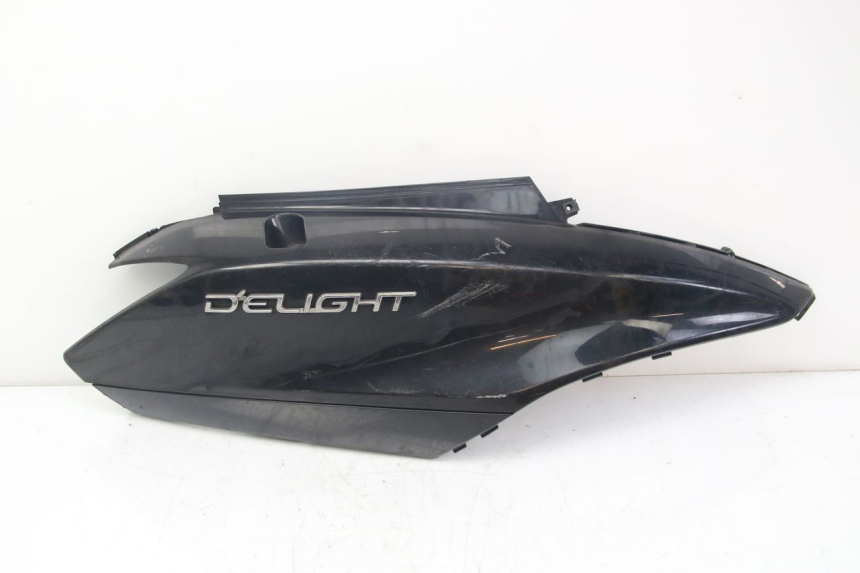 photo de RIGHT REAR SIDE PANEL YAMAHA D'ELIGHT DELIGHT 125 (2017 - 2020) - Main view