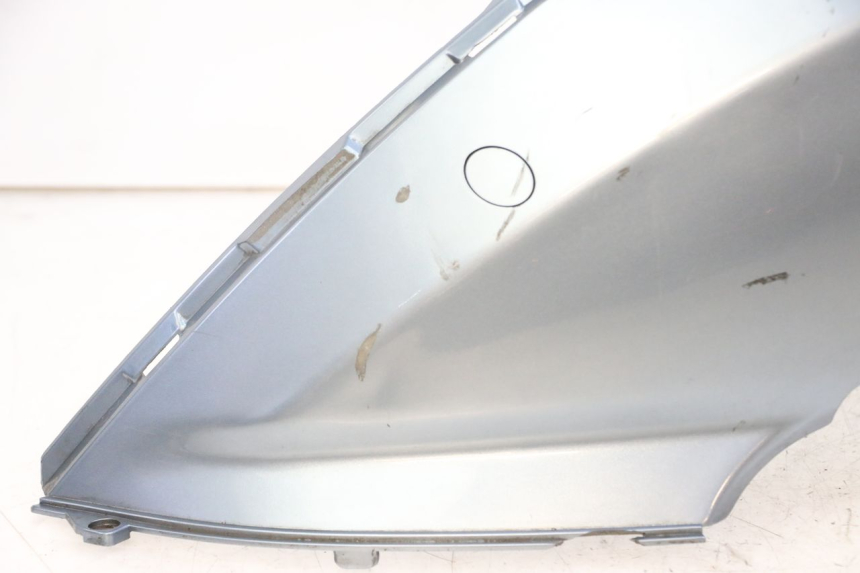 photo de REAR LEFT PANEL DAELIM HISTORY 125 (2001 - 2002) - Component zoom