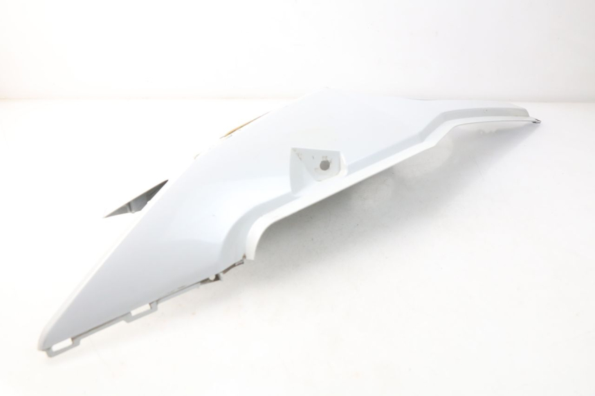 photo de LEFT REAR SIDE PANEL DAELIM S3 125 (2010 - 2017) - Surface and material condition