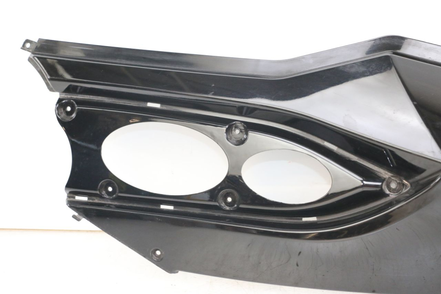 photo de LEFT REAR SIDE PANEL DAELIM S3 125 (2010 - 2017) - High-resolution close-up