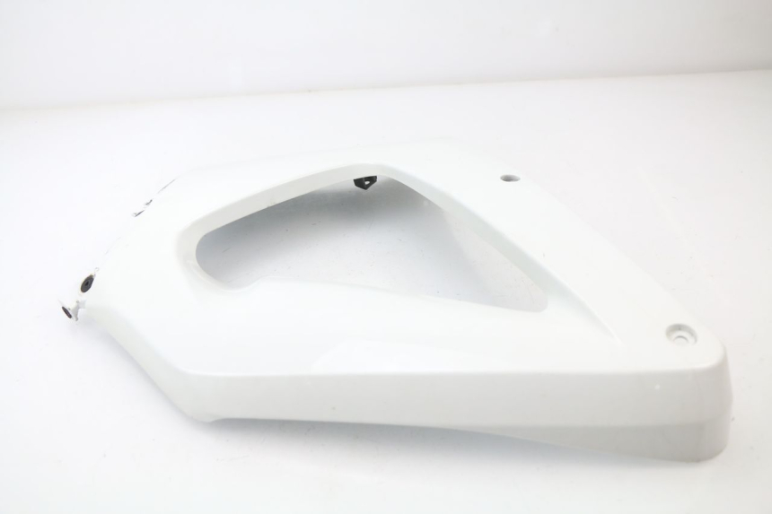 photo de RIGHT FRONT FAIRING HONDA CBR 929 RR FIREBLADE 900 (2000 - 2001) - Technical close-up