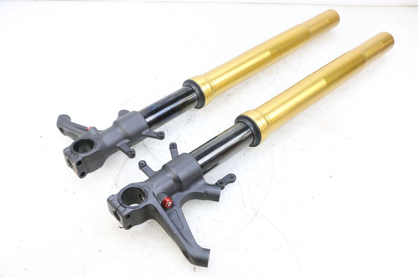 photo de FORK SUZUKI GSXR GSX-R 1000 (2003 - 2004) - Main view