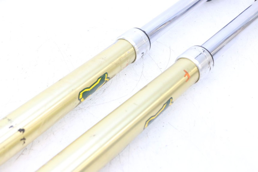 photo de FORKS LEG HM HONDA DERAPAGE 50 (2007 - 2009) - Alternative angle
