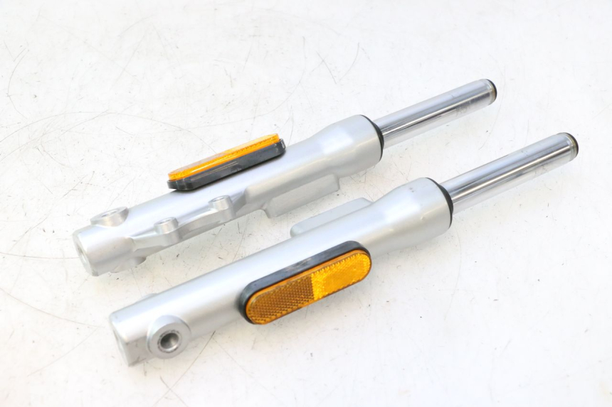 photo de FORKS LEG ASKOLL ESPRO 1 - Main view