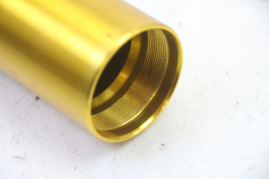 photo de FORKS LEG BMW G310 R 310 (2016 - 2020) - Surface and material condition