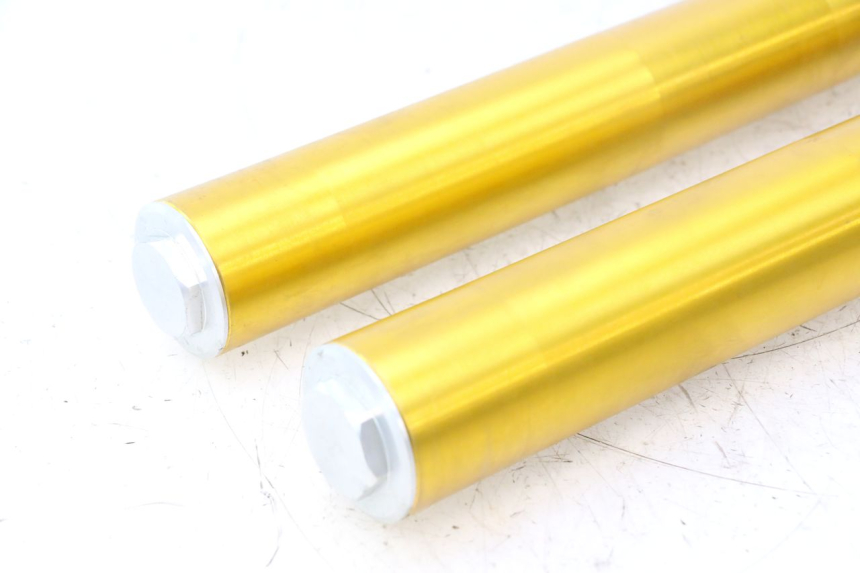 photo de FORKS LEG RIEJU MRT PRO SUPERMOTARD 50 (2007 - 2018) - Component detail
