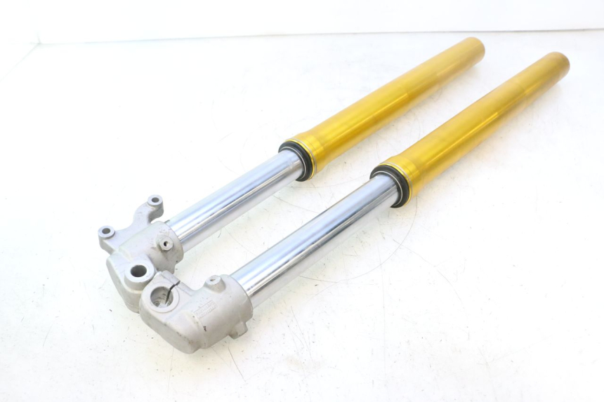 photo de FORKS LEG RIEJU MRT PRO SUPERMOTARD 50 (2007 - 2018) - High-resolution close-up