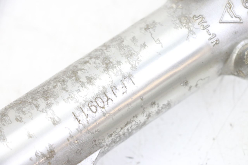 photo de FORKS LEG REGAL RAPTOR RAXTER 2 125 (2007 - 2015) - Alternative perspective