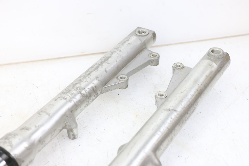 photo de FORKS LEG REGAL RAPTOR RAXTER 2 125 (2007 - 2015) - Product overview