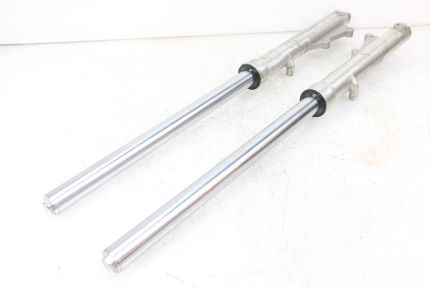 photo de FORKS LEG REGAL RAPTOR RAXTER 2 125 (2007 - 2015) - Surface and material condition