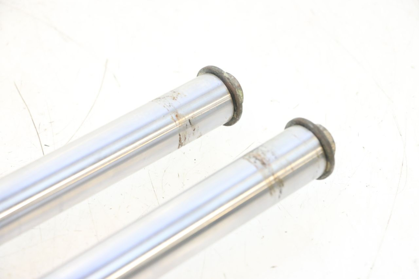 photo de FORKS LEG TNT MOTOR ROMA 10' 2T 50 (2011 - 2018) - Component zoom