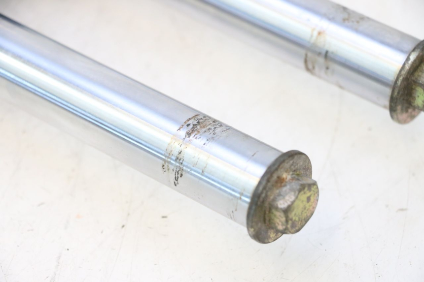 photo de FORKS LEG TNT MOTOR ROMA 10' 2T 50 (2011 - 2018) - Markings and original references