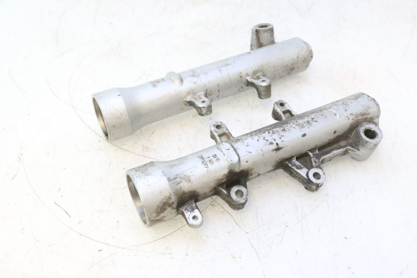 photo de FORKS LEG DAELIM S2 125 (2006 - 2007) - Surface and material condition