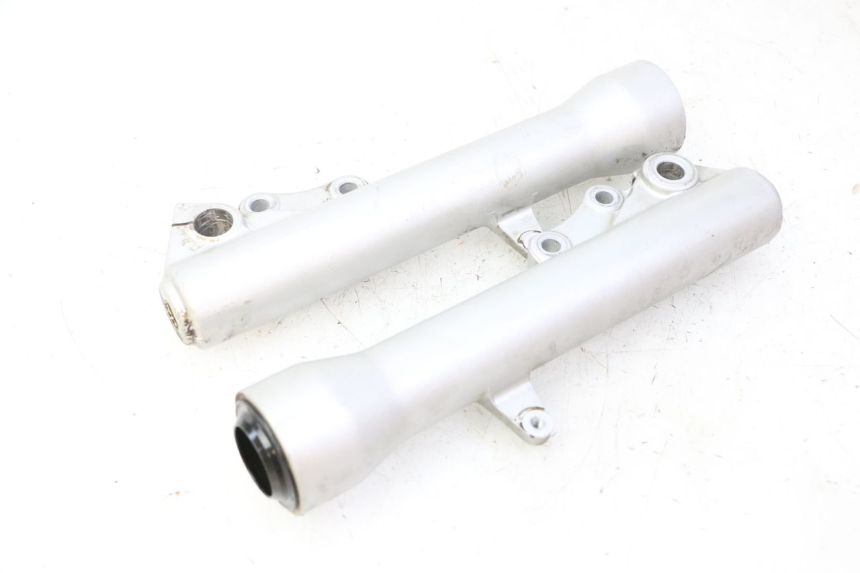 photo de FORKS LEG PIAGGIO X9 EVOLUTION 125 (2003 - 2007) - Main view