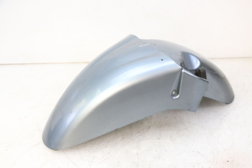 photo de FRONT FENDER DAELIM HISTORY 125 (2001 - 2002) - Technical close-up