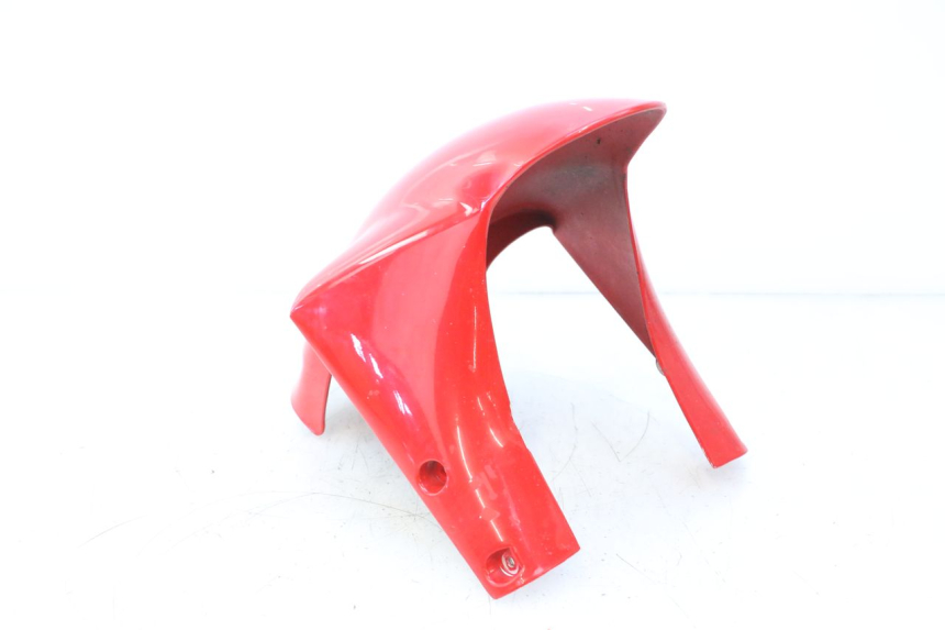 photo de FRONT FENDER DUCATI SS IE DS CARENEE 1000 (2002 - 2006) - High-resolution close-up