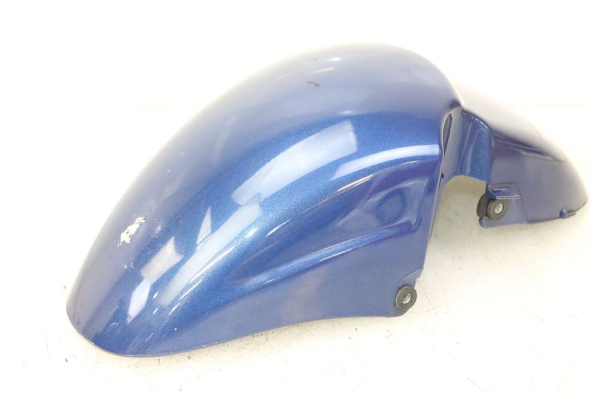 photo de FRONT MUDGUARD PIAGGIO X9 EVOLUTION 125 (2003 - 2007) - Main view
