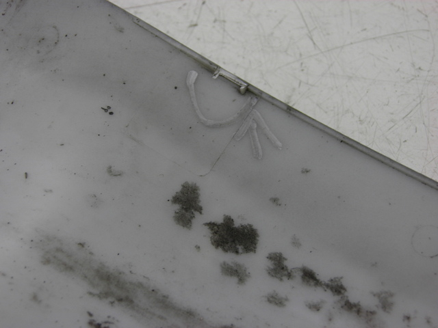 photo de FRONT FENDER YAMASAKI YM50QT-N3 RETRO 50 (2012 - 2014) - Component detail