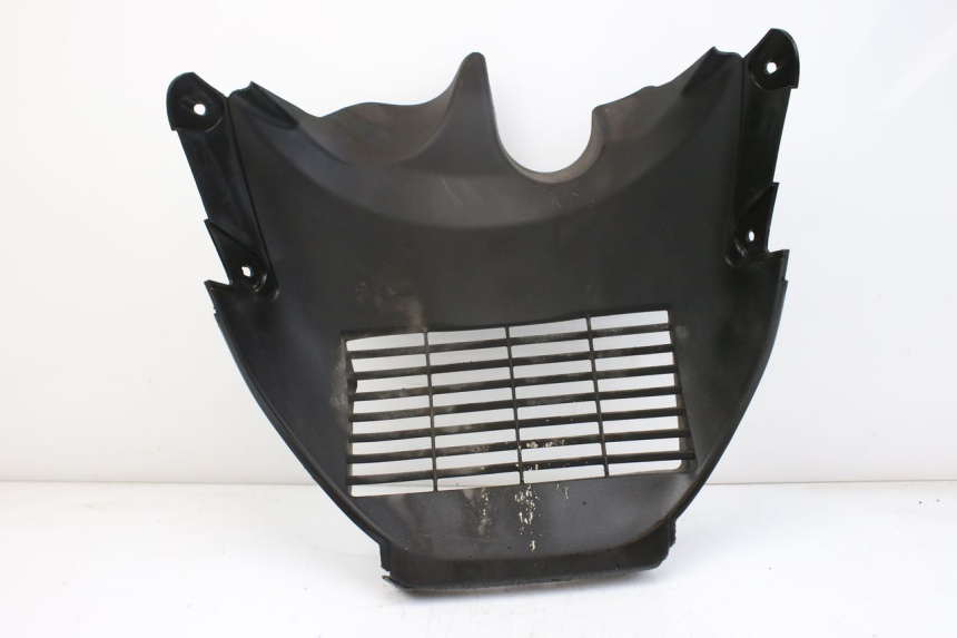photo de RADIATOR COVER SUZUKI AN BURGMAN 400 (2006 - 2010) - Surface and material condition