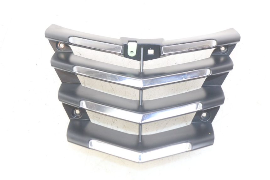 photo de RADIATOR GRILLE PEUGEOT CITYSTAR AIR 125 (2014 - 2017) - Main view