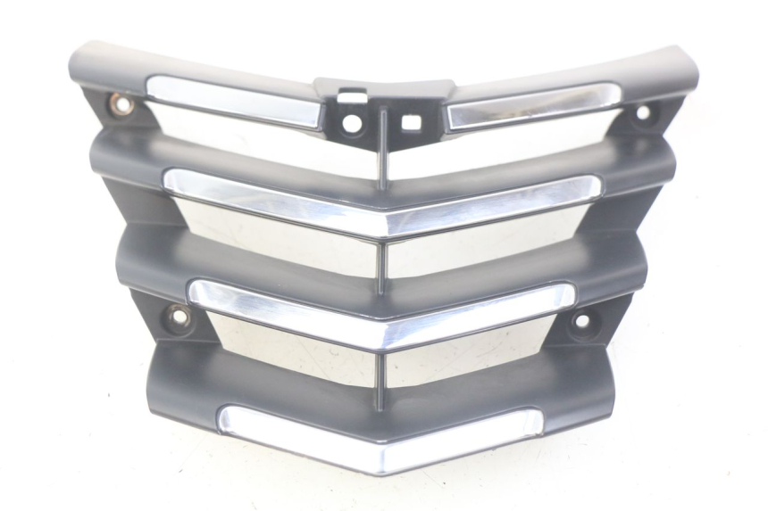 photo de RADIATOR GRILLE PEUGEOT CITYSTAR 125 (2011 - 2017) - Main view